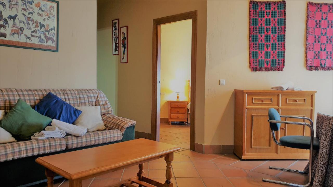 Ski & Snow Apartmentos By Todosierranevada - Plaza Principal Junto A Los Telecabinas シエラネバダ エクステリア 写真